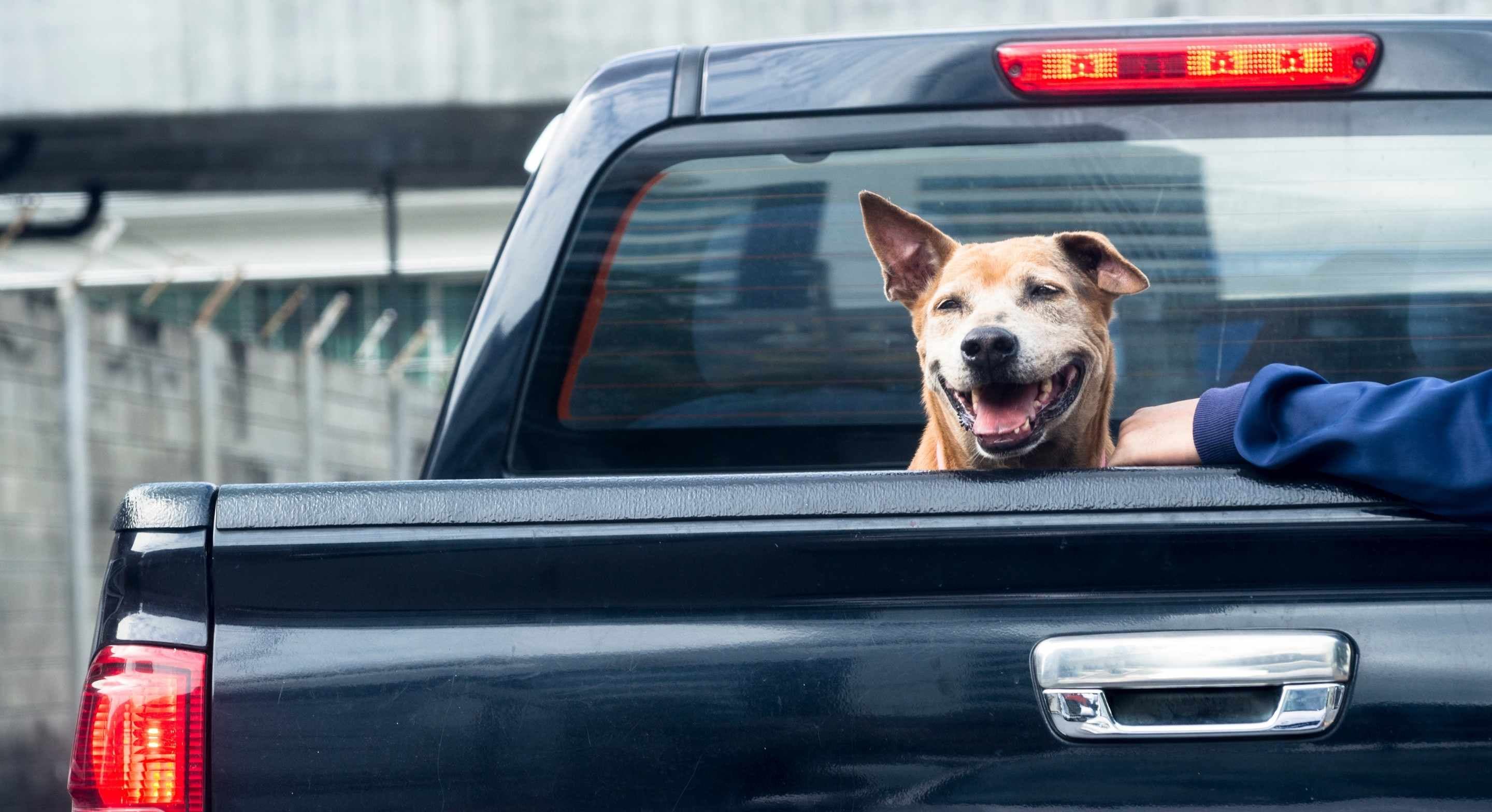 serviceforge for trades