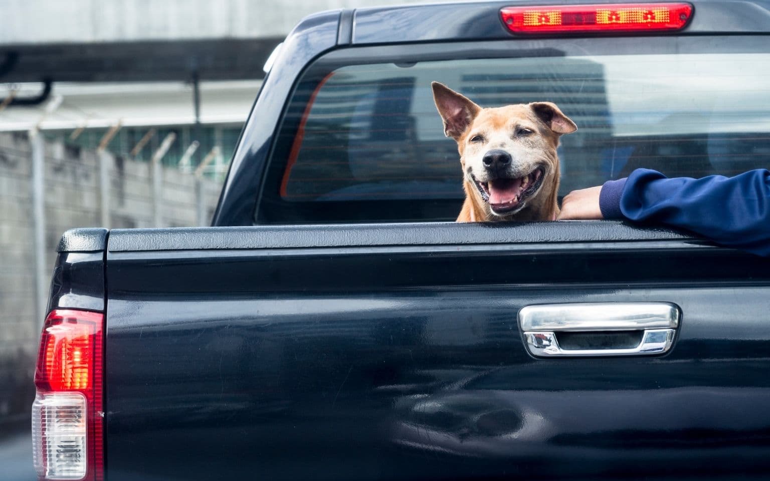 serviceforge for trades