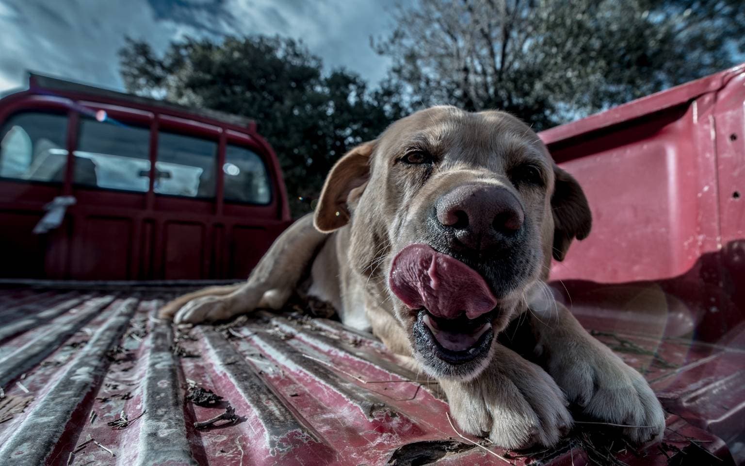 real people not bots serviceforge