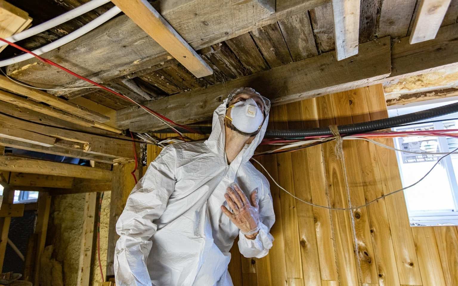 Restoration professional working on site